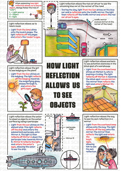 PSLE Science Sketchnotes (4th Edition)