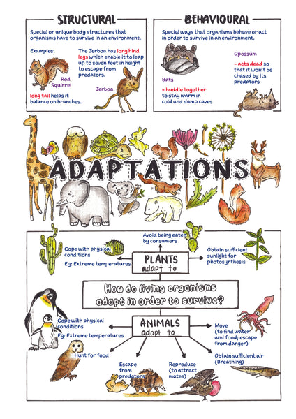 PSLE Science Sketchnotes